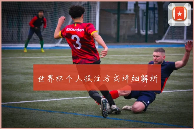 世界杯个人投注方式详细解析