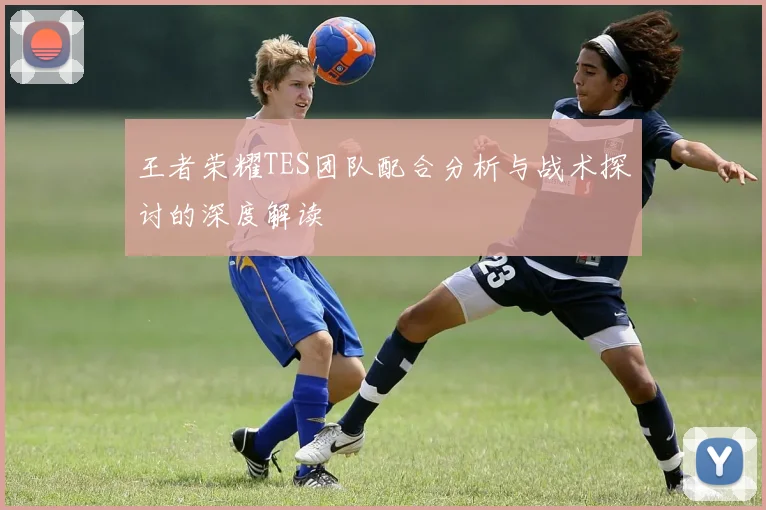 王者荣耀TES团队配合分析与战术探讨的深度解读
