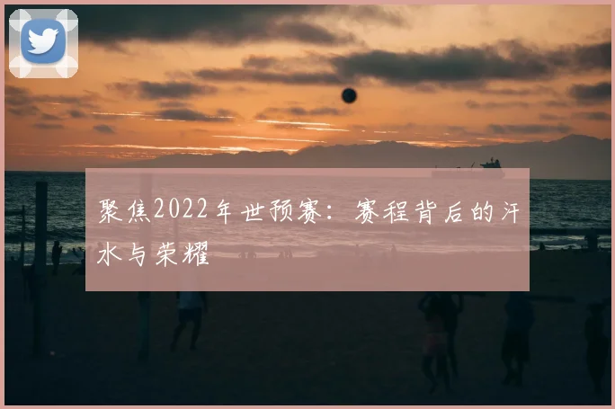 聚焦2022年世预赛：赛程背后的汗水与荣耀