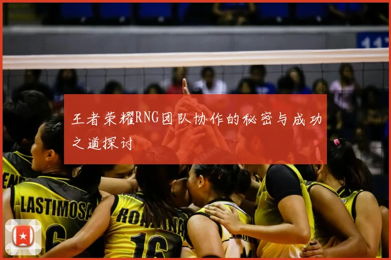 王者荣耀RNG团队协作的秘密与成功之道探讨