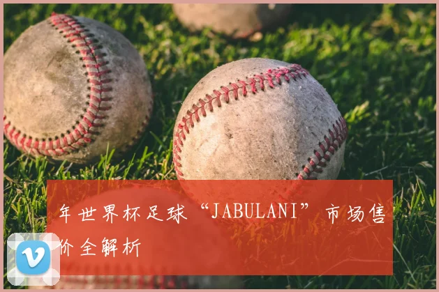 年世界杯足球“JABULANI”市场售价全解析