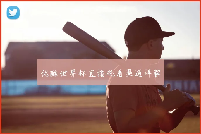 优酷世界杯直播观看渠道详解