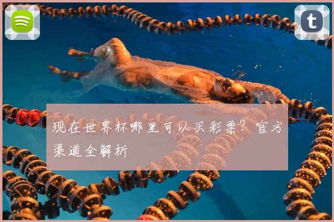 现在世界杯哪里可以买彩票？官方渠道全解析