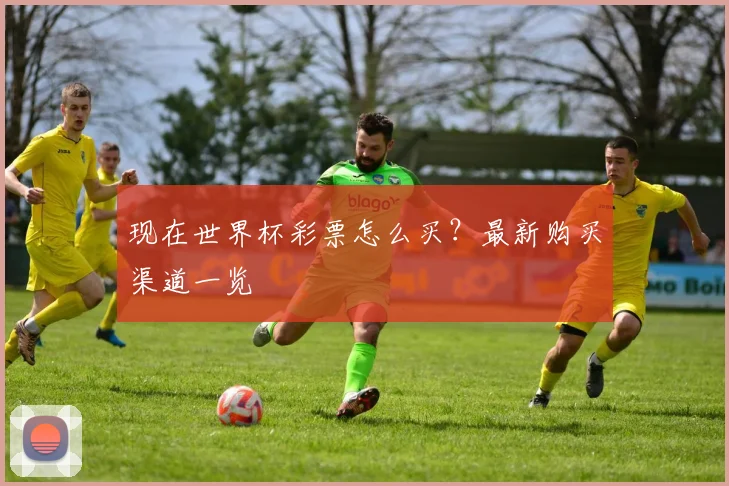 现在世界杯彩票怎么买？最新购买渠道一览