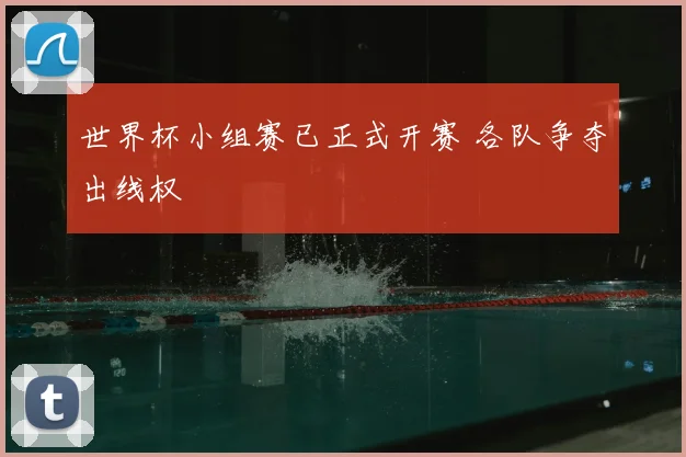 世界杯小组赛已正式开赛 各队争夺出线权
