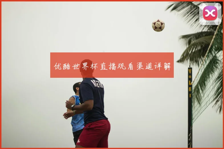 优酷世界杯直播观看渠道详解