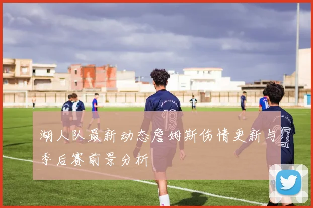 湖人队最新动态詹姆斯伤情更新与季后赛前景分析