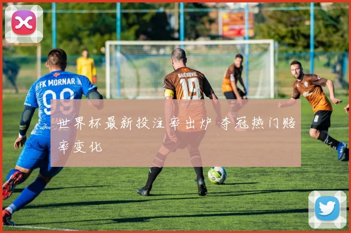 世界杯最新投注率出炉 夺冠热门赔率变化