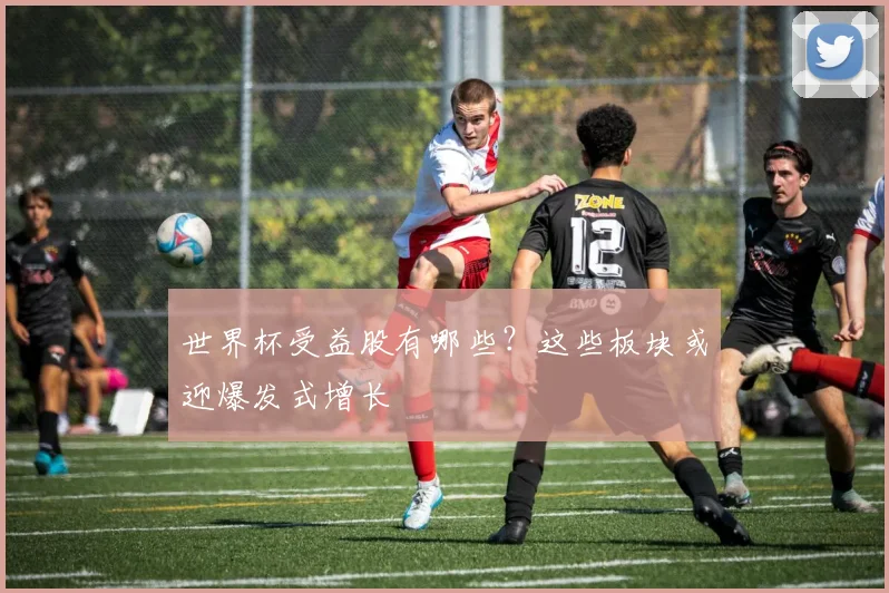 世界杯受益股有哪些？这些板块或迎爆发式增长