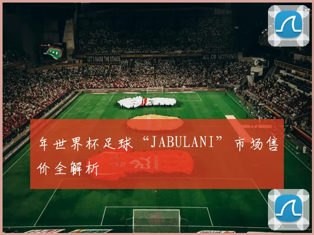 年世界杯足球“JABULANI”市场售价全解析