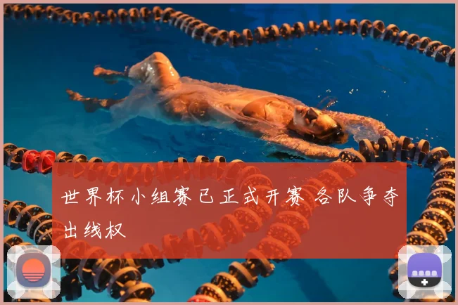 世界杯小组赛已正式开赛 各队争夺出线权